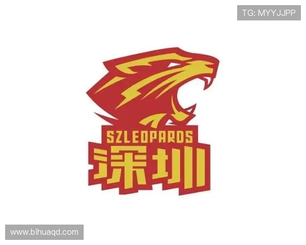 深圳篮球队引领最新篮球技术十大趋势解析