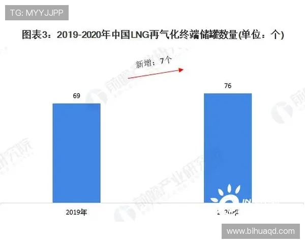 独家解析:LNG市场参与者心理素质的深度对比与影响分析